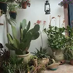 Il Nespolo Ferienhaus Modolo (Oristano)