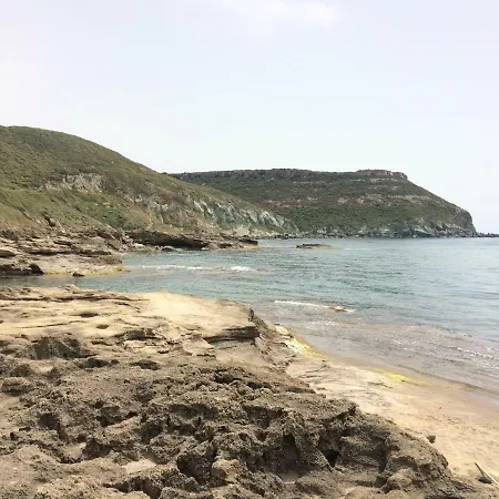 Il Nespolo *