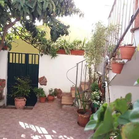 Il Nespolo *