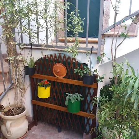 Il Nespolo Tatil Evi