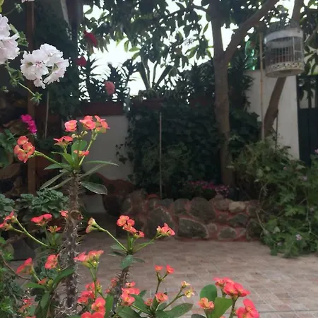 Il Nespolo Modolo (Oristano)
